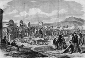 Elfenbein- und Fellmarkt in Grahamstown, Albanien, Kapkolonie