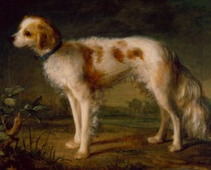 Ein Spaniel in einer Landschaft von Thomas (circle of) Gainsborough