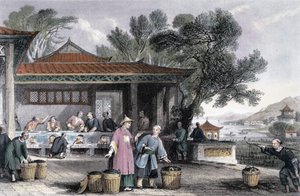 Der Anbau und die Zubereitung von Tee, China, 1843 von Thomas Allom