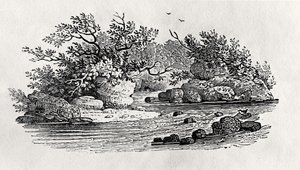 Eine Biegung im Fluss, aus 
