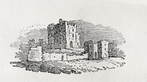 Burgruinen aus 