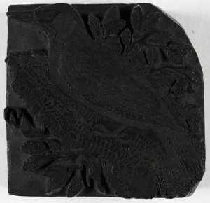 Holzschnitt für Der Grünspecht, aus A History of British Birds von Thomas Bewick