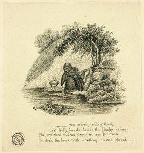 ...Du verwitwetes einsames Ding von Thomas Bewick