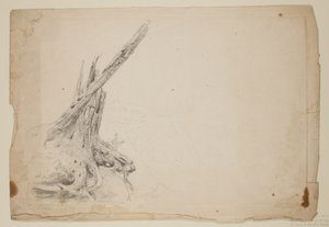 Gebrochener Baumstamm von Thomas Cole