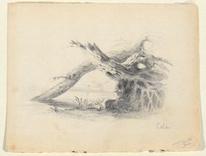 Skizze von zwei toten Bäumen von Thomas Cole