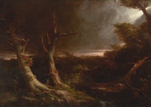 Tornado in einem amerikanischen Wald