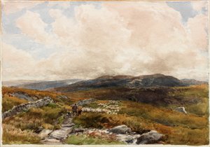 Moorlandschaft von Thomas Collier