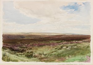 Moorlandschaft bei Hart Leap Well, Yorkshire