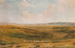 Die Downs bei Lewes, Seaford Cliff in der Ferne, ca. 1887 von Thomas Collier
