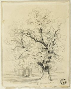 Kastanie im Greenwich Park von Thomas Creswick