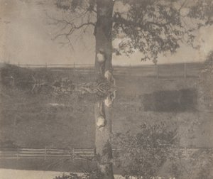 [Crowell-Kinder in Avondale, Pennsylvania]