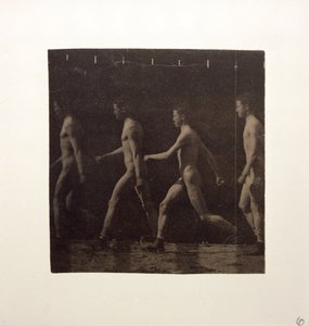 Marey-Rad-Fotografien eines unbekannten Modells, ca. 1884