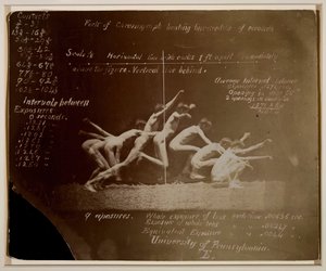 Marey-Rad-Fotografien eines unbekannten Modells, mit Notizen von Eadweard Muybridge, 1884 von Thomas Eakins