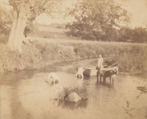 Drei Kinder und ein Hund spielen im Bach, 4. Juli 1883