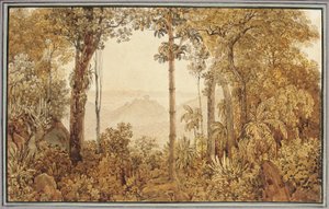 Blick über Rio de Janeiro vom Tijuca-Wald