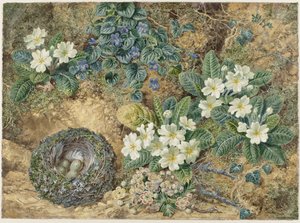 Stillleben mit einem Vogelnest, Veilchen, Primeln und Apfelblüten von Thomas Frederick Collier