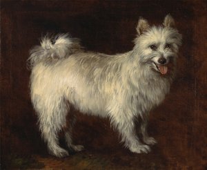 Spitzhund, Ein Hund von Thomas Gainsborough
