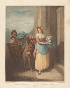 Rüben und Karotten Ho