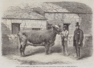 Captain Gunters Herzogin 77., Erste Preiskuh auf der Royal Agricultural Society