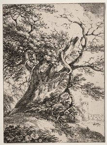 Beispiele der Polyautographie: Landschaft mit einer Eiche