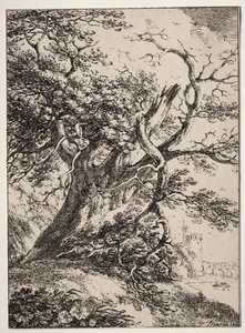 Beispiele der Polyautographie: Landschaft mit einer Eiche