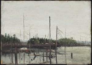 Überflutetes Land von Tom Thomson