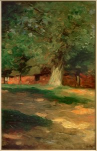 Bauernhaus hinter großem Baum