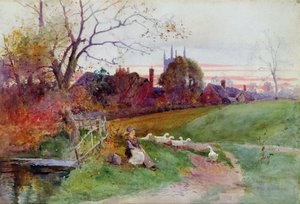 Hampton Lucy vom Ford