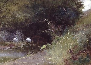 Schwäne auf einem See von Thomas Mackay