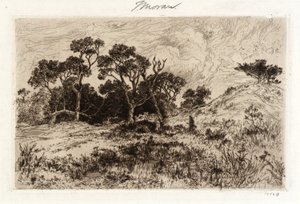 Ein südlicher Wind von Thomas Moran
