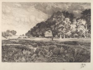 Landschaft von Long Island