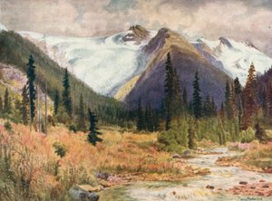  von Thomas Mower Martin