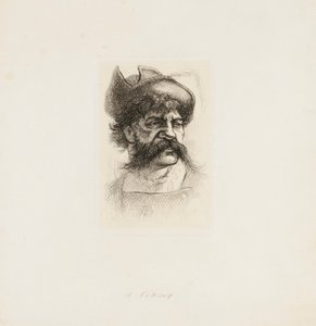 Ein Wikinger von Thomas Nast