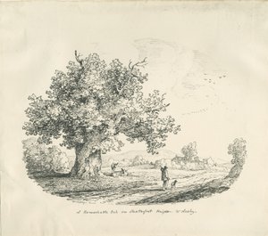 Arley - Shatterfort Höhe von Thomas Peploe Wood