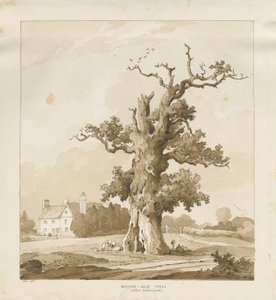 Eccleshall - Baden Old Hall (Sepia-Zeichnung)