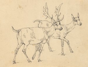 Albumzeichnung von Thomas Rowlandson