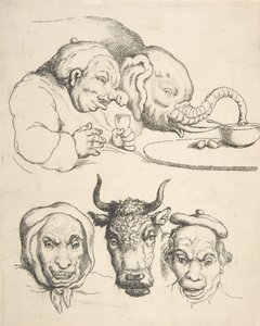 Vergleichende Anatomie, 1800-25 von Thomas Rowlandson