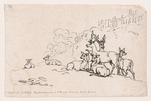 Hirsche aus Tafel 3, Umrisse von Figuren, Landschaften und Vieh... zur Verwendung von Le..., 1. Juni 1790 von Thomas Rowlandson