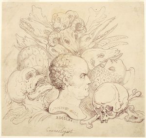 F. Josephus Gall, Kraniologe