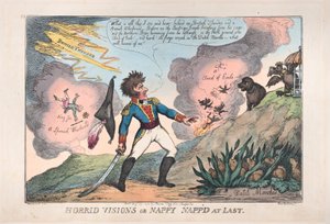 Schreckliche Visionen von Nappy, 23. August 1808 von Thomas Rowlandson