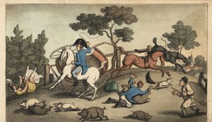 Johnny und eine Dame stürzen mit einer Kutsche in eine Schweineherde. Handkolorierte Kupferstichgravur von W. Read nach einer Illustration von Thomas Rowlandson aus Alfred Burtons Die Abenteuer von Johnny Newcombe in der Marine, Simpkin, London