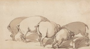 Schweine an einem Trog, ca. 1790 von Thomas Rowlandson