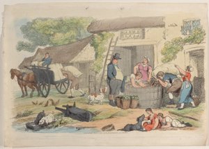 Tafel 16, aus World in Miniature, 1816