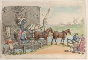 Tafel 23, aus World in Miniature, 1816