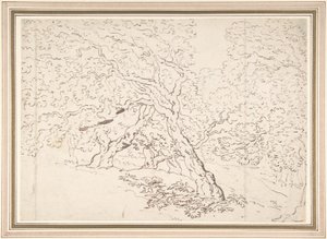 Studie von Bäumen von Thomas Rowlandson