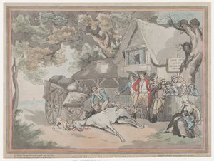 Das Kutschpferd aus Das Leben eines Rennpferdes, oder Der Hochmütige Renner, 20. Juli 1789