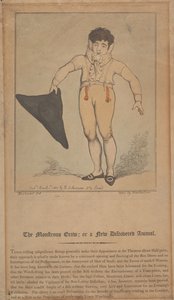 Das monströse Kriechtier; oder ein neu entdecktes Tier von Thomas Rowlandson