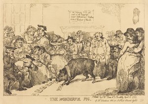 Das wunderbare Schwein von Thomas Rowlandson