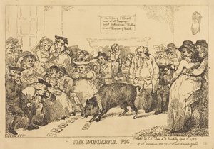 Das Wunderbare Schwein von Thomas Rowlandson