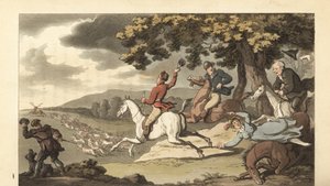 Junger englischer Gentleman reitet mit Hunden bei einer Hirschjagd von Thomas Rowlandson